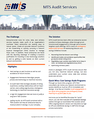 MTS Telecom Billing Audit