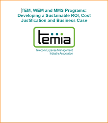MTS Build a Business Case for TEM